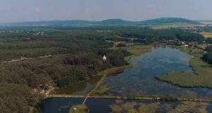 Вірля
